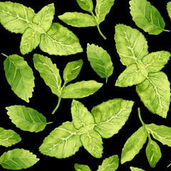 Watercolor seamless pattern with leaves of peppermint. Fresh green illustration hand painted. Black background