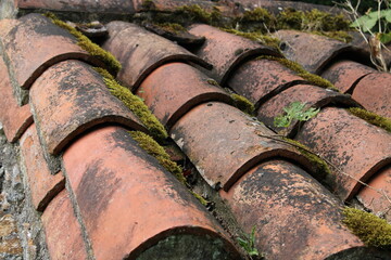 Toiture à nettoyer mousse, lichens
