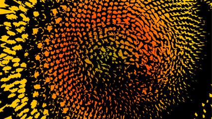 background sunflower abstraction. natural background.
