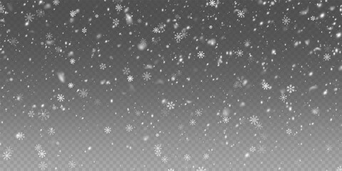 Falling snowflakes in transparent beauty, delicate and small, isolated on a clear background. Snowflake elements, snowy backdrop. Vector illustration of intense snowfall, snowflakes.Christmas.