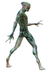 3D Rendering Green Alien on White