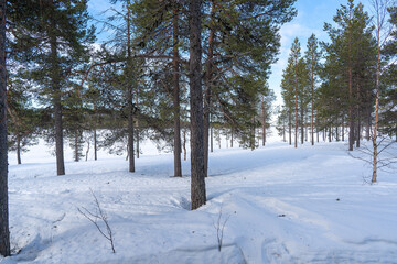 Winter Landscape around Ounarsjärvi Enontekiö area finland