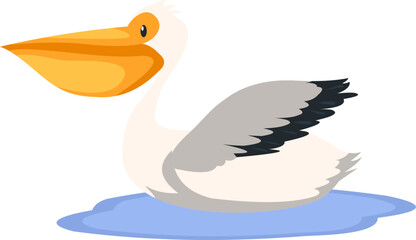 Pelican Bird Illustration