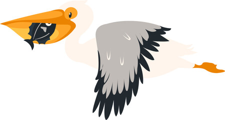 Pelican Bird Illustration