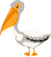 Pelican Bird Illustration
