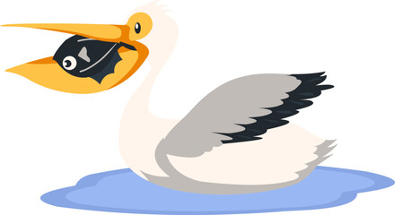 Pelican Bird Illustration