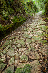 Algendar ravine path. Menorca. Balearic Islands. Spain.