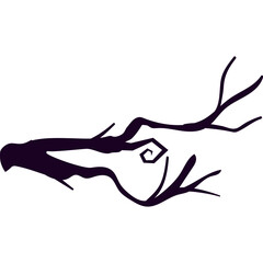 Obraz premium Spooky Tree Branches