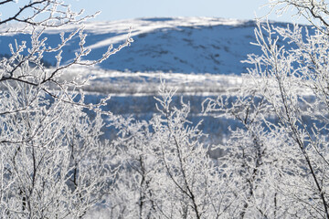 winter landscape around Lake Kilpisjärvi finland