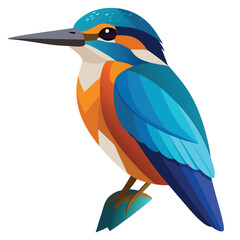 Kingfisher Colorful vector 