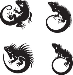 iguana silhouette, iguana icon, iguana vector, 