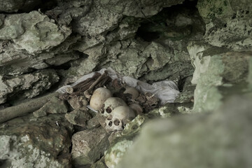 view of skull and bones on the cave