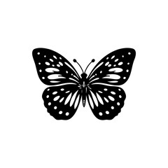 a design with silhouette art, a picture of a black butterfly