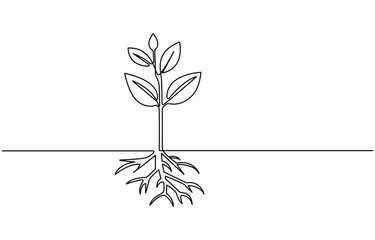 Continuous one line plant growth tree outline vector art drawing, Single line drawing of a plant, Plant growing continuous one line art drawing of tree plant art.