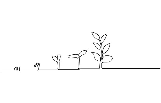 recommend clip art: Continuous one line plant growth tree outline vector art drawing, Single line drawing of a plant, Plant growing continuous one line art drawing of tree plant art.