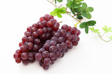 白背景にぶどう