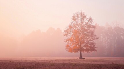 A solitary tree in a misty morning field, creating a serene and tranquil atmosphere with soft light and muted colors.