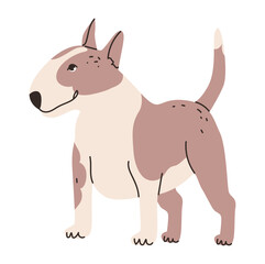 Flat vector illustration of a bull terrier. Dog isolated on a white background