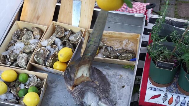 seafood is sold at the market