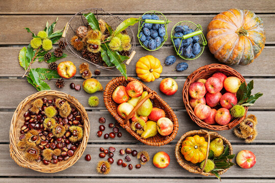 Autumn harvest of apples, plums, pears, pumpkins and chestnuts