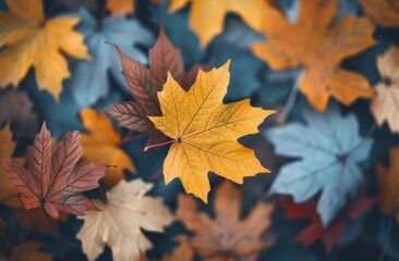 Autumn Leaves on the Forest Floor
