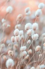 Crédence de cuisine  Pink Wildflowers In A Field  © homeganko