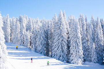Slope at ski resort Kopaonik, Serbia,
