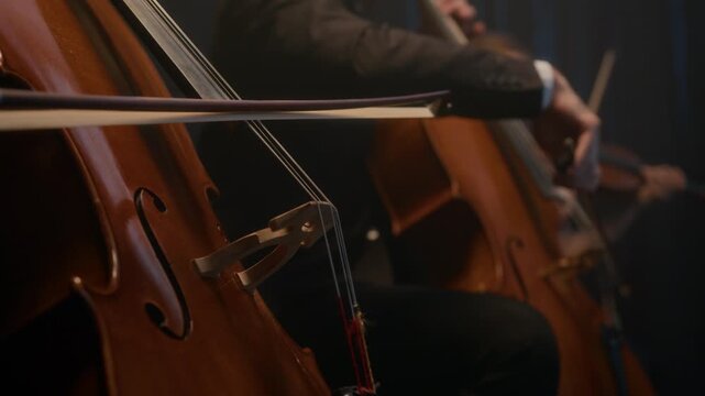 Cropped shot of virtuous string orchestra playing bass, cello and violin while giving live concert on dark stage