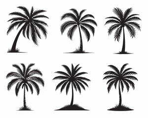 collection of palm trees vector with black and white silhouette