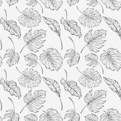 Tropical seamless pattern with monstera leaves. Hand drawn illustration.