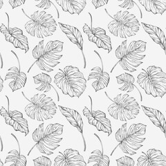 Tropical seamless pattern with monstera leaves. Hand drawn illustration.