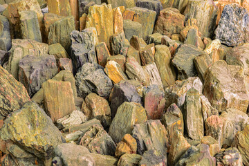 Fossilized tree at Petrified Forest Park in Tak Province