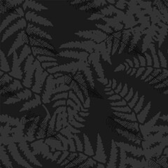 Fototapeta premium plants_fern_blue_7-02.eps