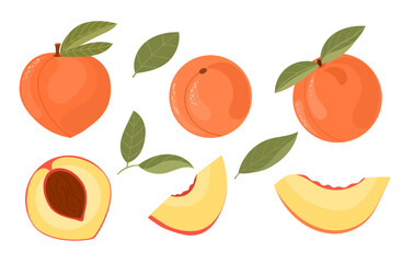 Set of colorful peaches with leaves. Hand drawn illustration of fruit. Half, slice and whole peach, nectarine. Vector illustration, isolated on white background. Flat style.