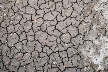 Mud soil cracked by drought view from above
