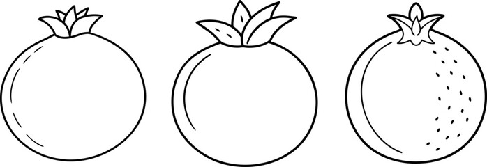 Pomegranate fruit outline coloring book page and digital line art