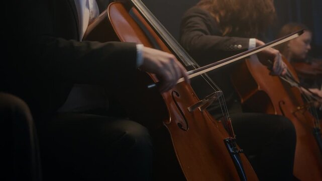 Group of professional string music performers playing bass, cello and violin while performing on stage
