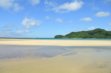 海岸沿いの公園の景色