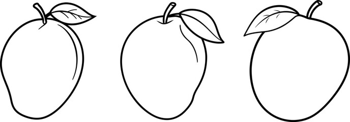 Mango fruit outline coloring book page and digital line art