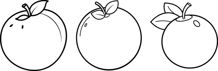 Blueberry fruit outline coloring book page and digital line art