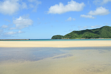 海岸沿いの公園の景色