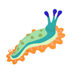 A vibrant and colorful illustration of a sea slug, showcasing its unique features and intricate patterns in a whimsical style.