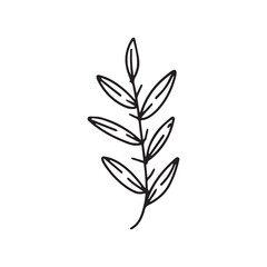 Obraz premium hand drawing black line floral isolated on white background. botanical floral