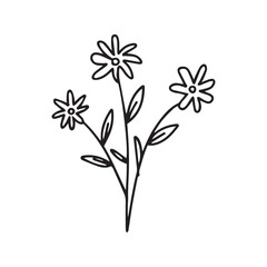 hand drawing black line floral isolated on white background. botanical floral