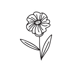 hand drawing black line floral isolated on white background. botanical floral