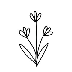 hand drawing black line floral isolated on white background. botanical floral