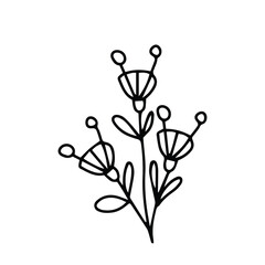 hand drawing black line floral isolated on white background. botanical floral