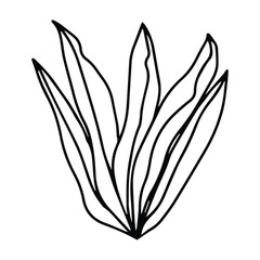 Obraz premium hand drawing black line floral isolated on white background. botanical floral