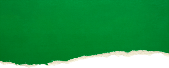 Green ripped paper torn edges strips isolated on black background