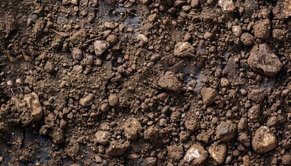 Close Up View of Brown Soil With Pebbles and Small Rocks